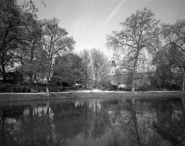 85903 Gezicht over de Stadsbuitengracht op het singelplantsoen te Utrecht, uit het oosten; op de achtergrond de ...